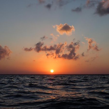 Ikarus Costa Mujeres Eco Lodge Sunset View كانكون المظهر الخارجي الصورة