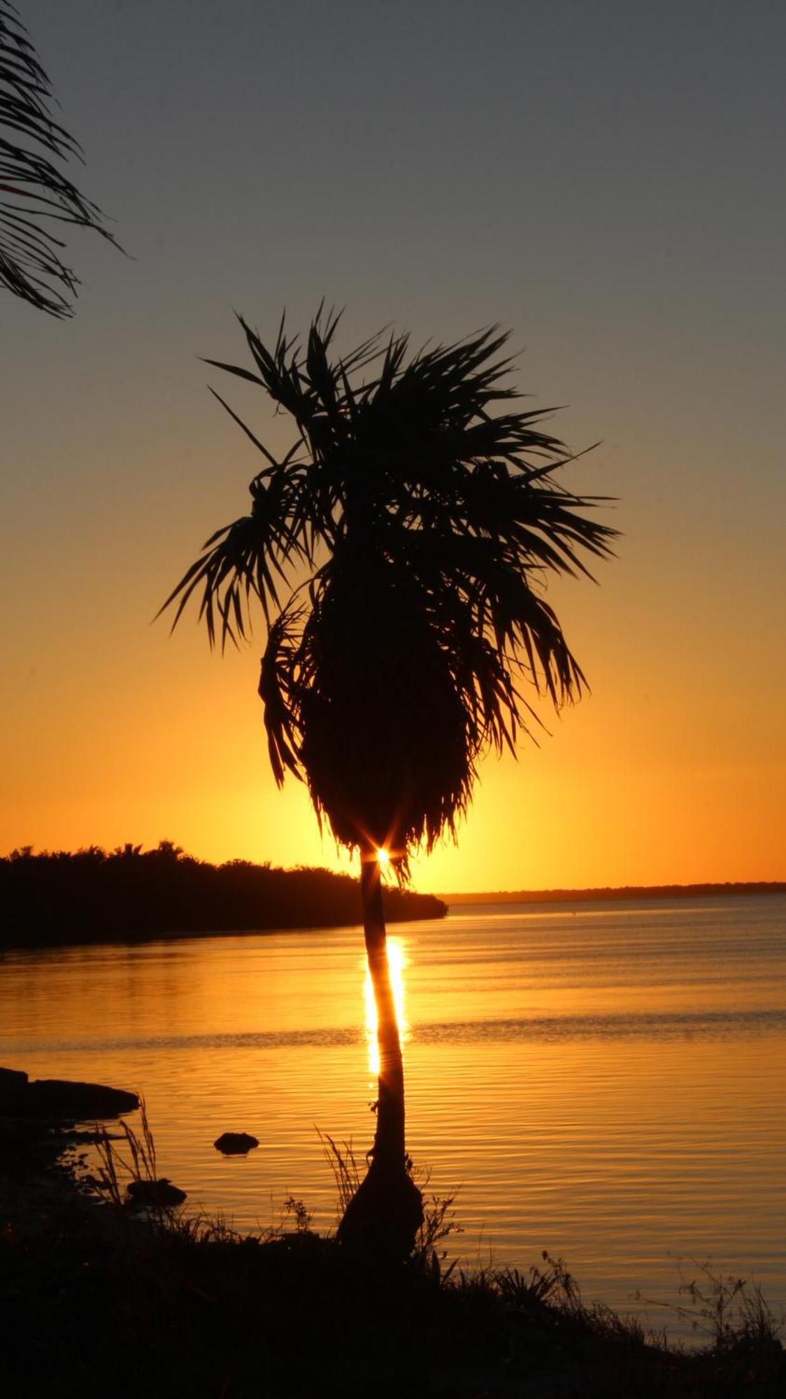 Ikarus Costa Mujeres Eco Lodge Sunset View كانكون المظهر الخارجي الصورة