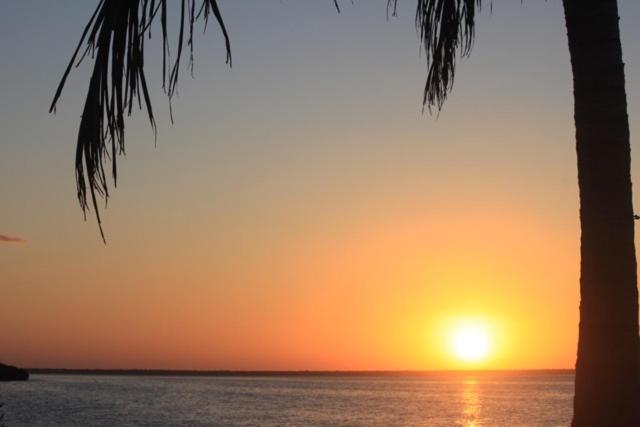 Ikarus Costa Mujeres Eco Lodge Sunset View كانكون المظهر الخارجي الصورة