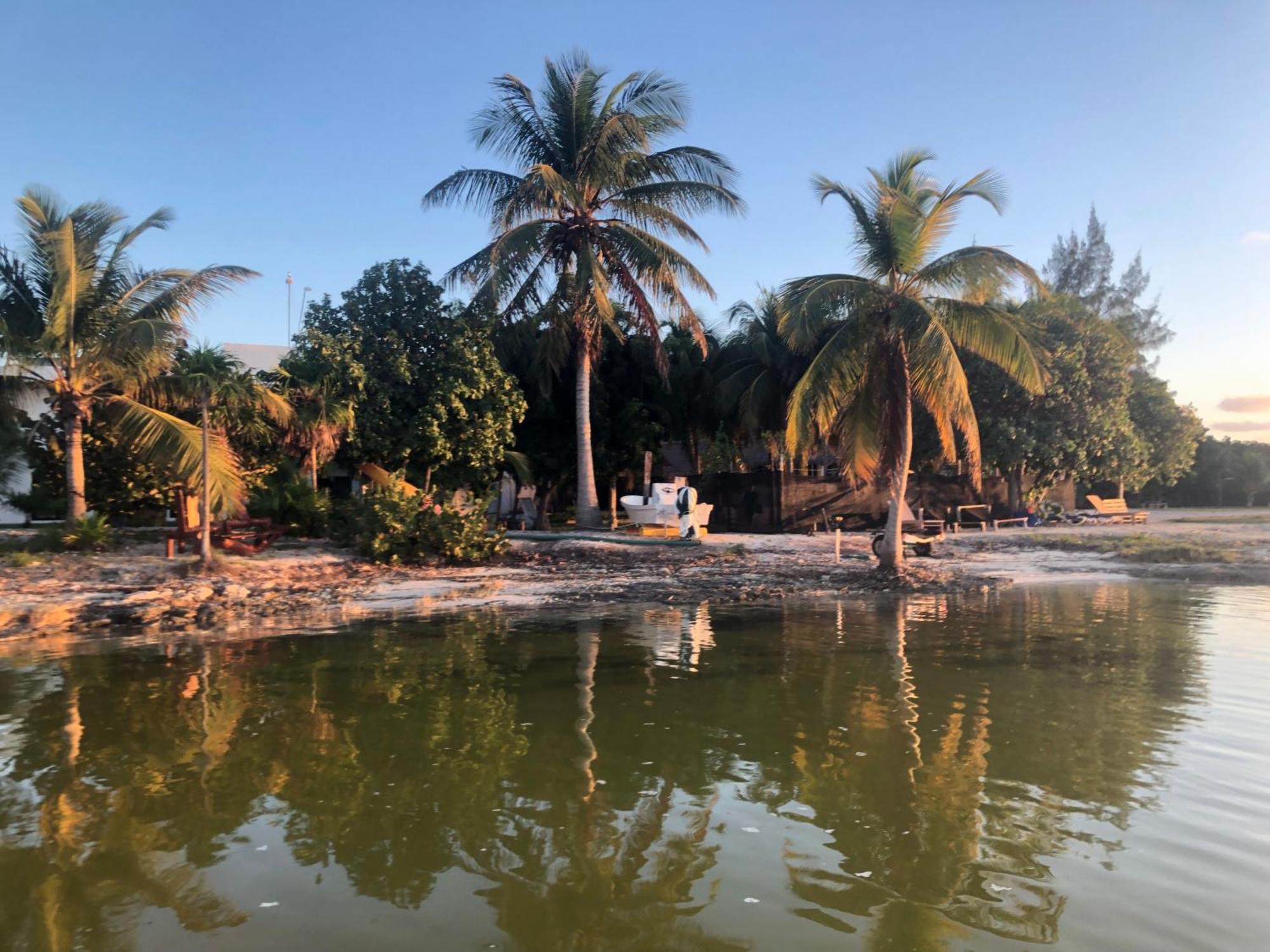 Ikarus Costa Mujeres Eco Lodge Sunset View كانكون المظهر الخارجي الصورة