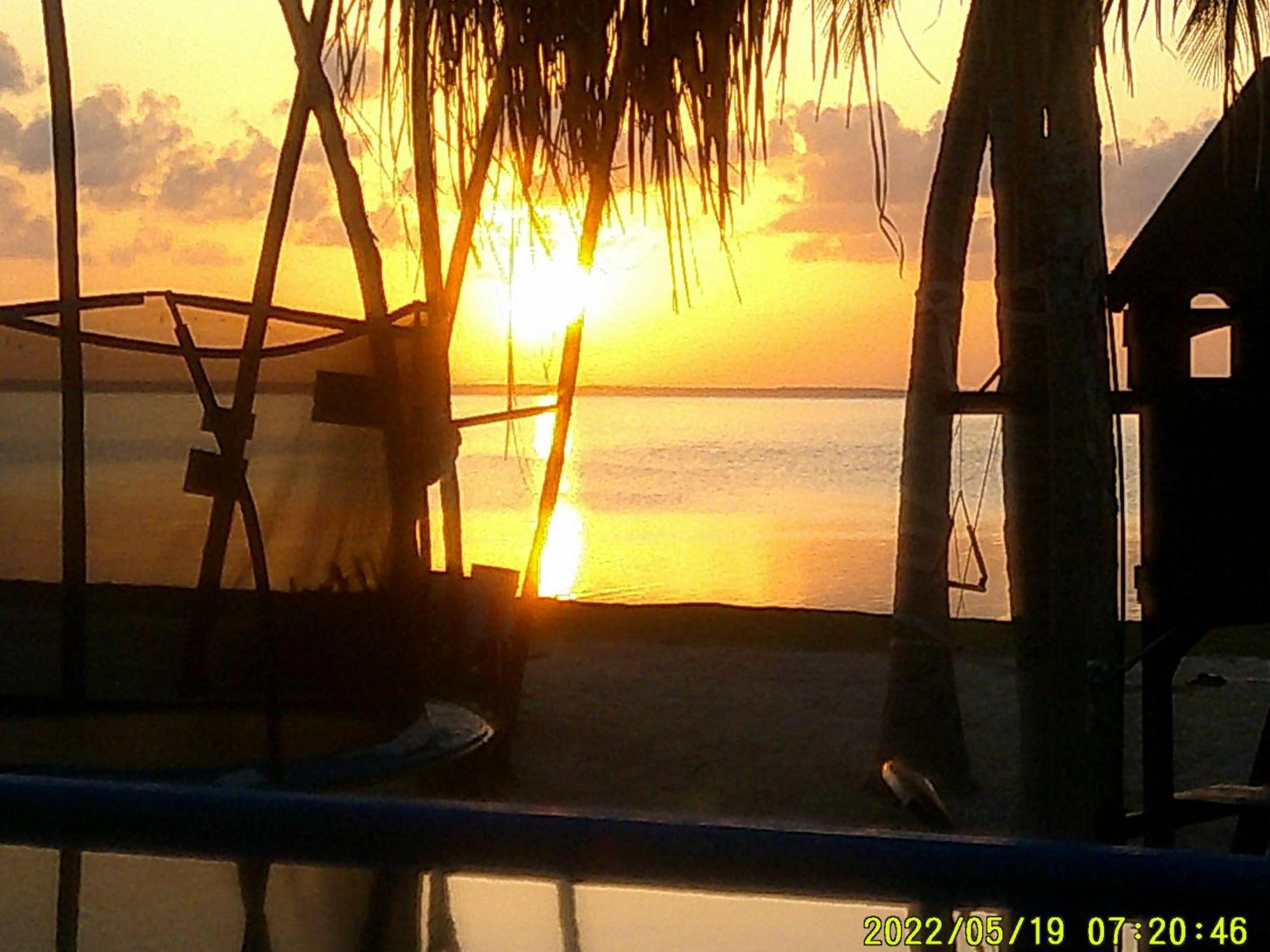 Ikarus Costa Mujeres Eco Lodge Sunset View كانكون المظهر الخارجي الصورة