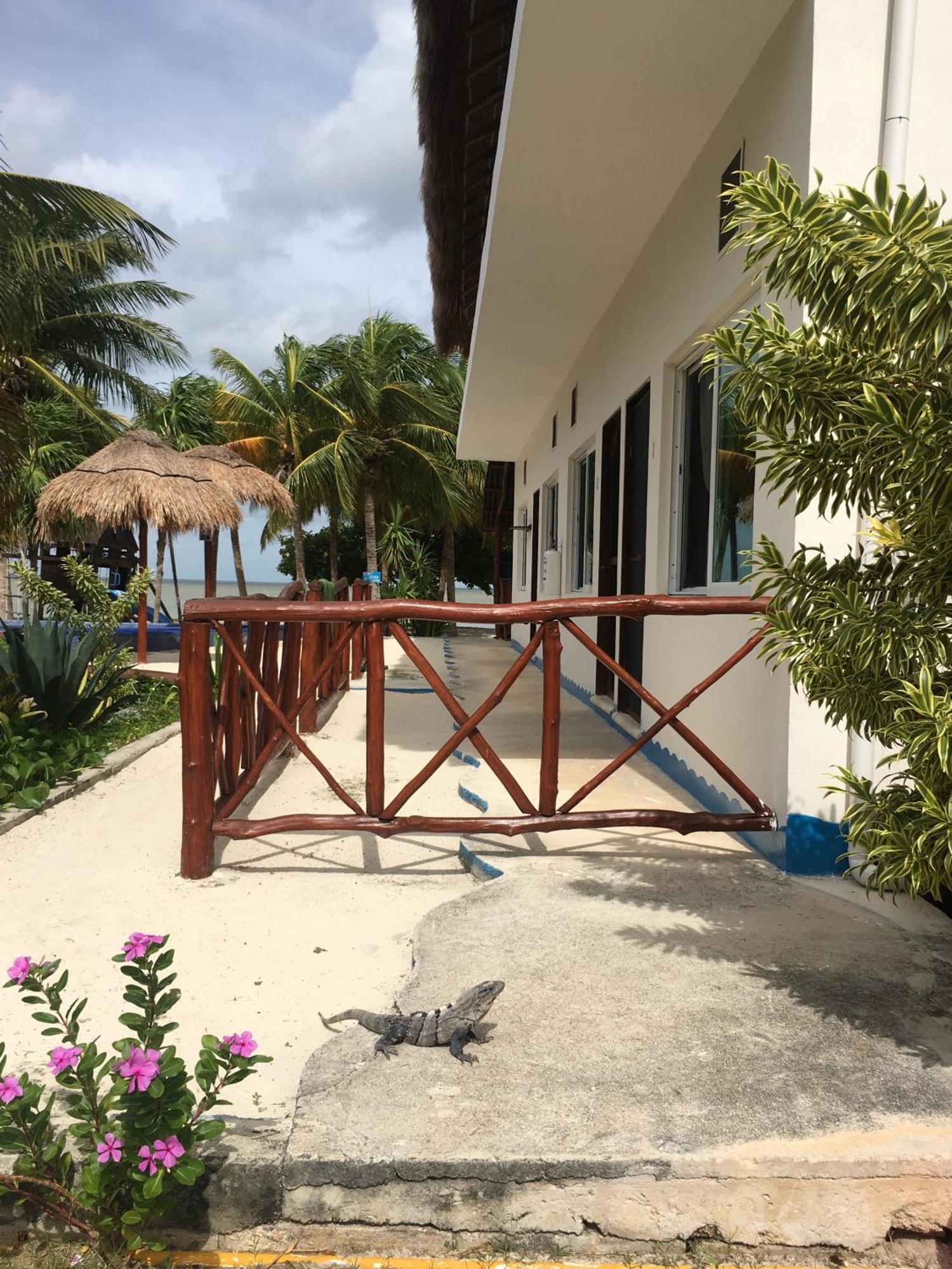 Ikarus Costa Mujeres Eco Lodge Sunset View كانكون المظهر الخارجي الصورة
